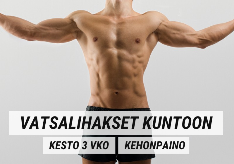 VATSALIHAKSET KUNTOON – Vatsalihasharjoitteet Kaiken Tasoisille VATSALIHAKSET KUNTOON – Vatsalihasharjoitteet Kaiken Tasoisille